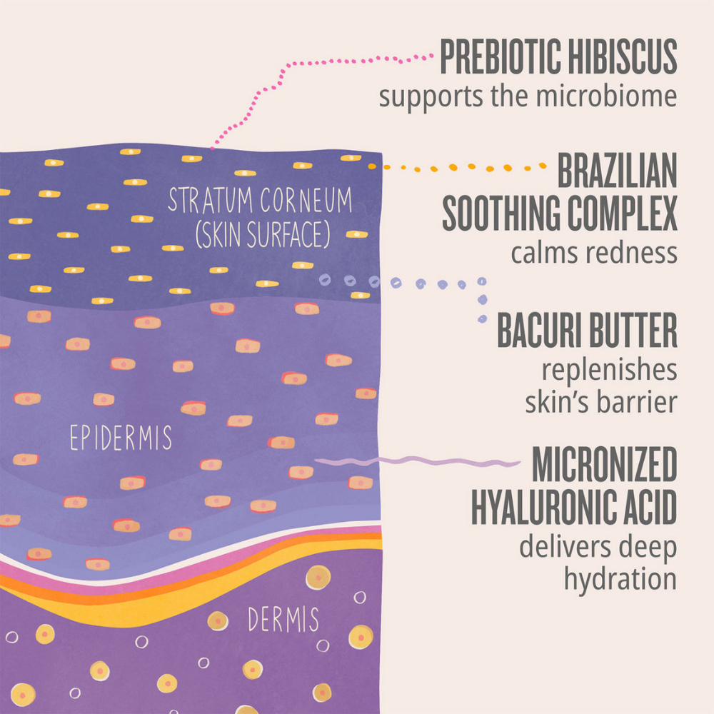 Sol de Janeiro Delicia Drench body butter 
